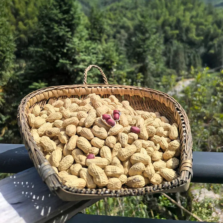 High-Yield Peanuts Seeds