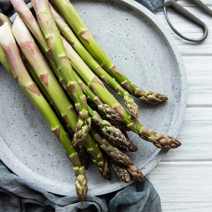 🌿King of Vegetables - Asparagus Mary Washington Seeds