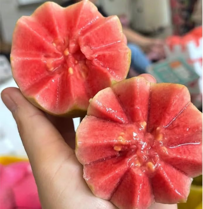 Organic Pink Guava Seeds