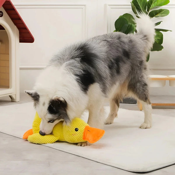 Quacking Duck Toy