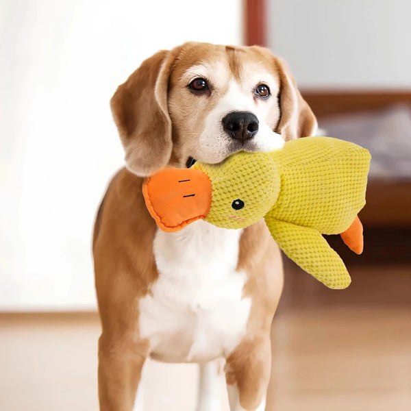 Quacking Duck Toy