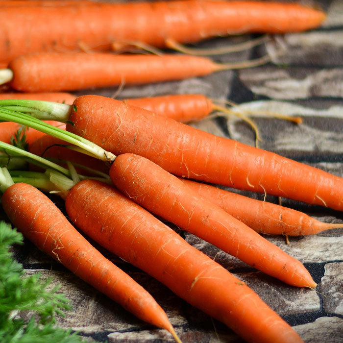 Sweet Carrot Seeds