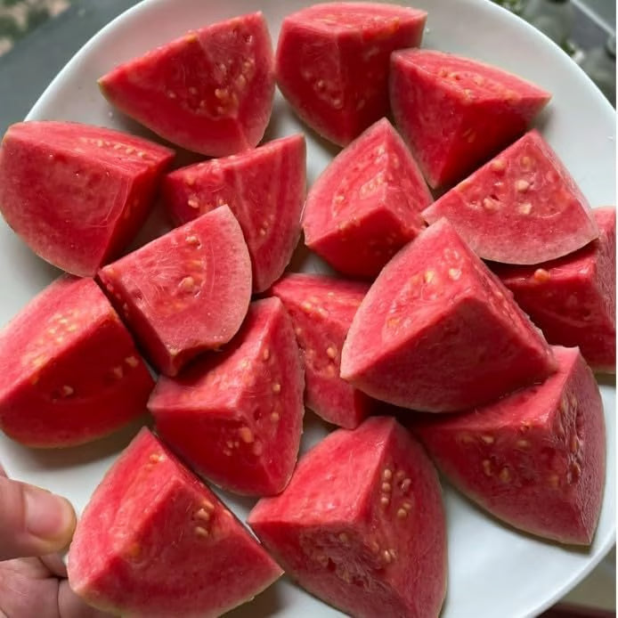 Organic Pink Guava Seeds