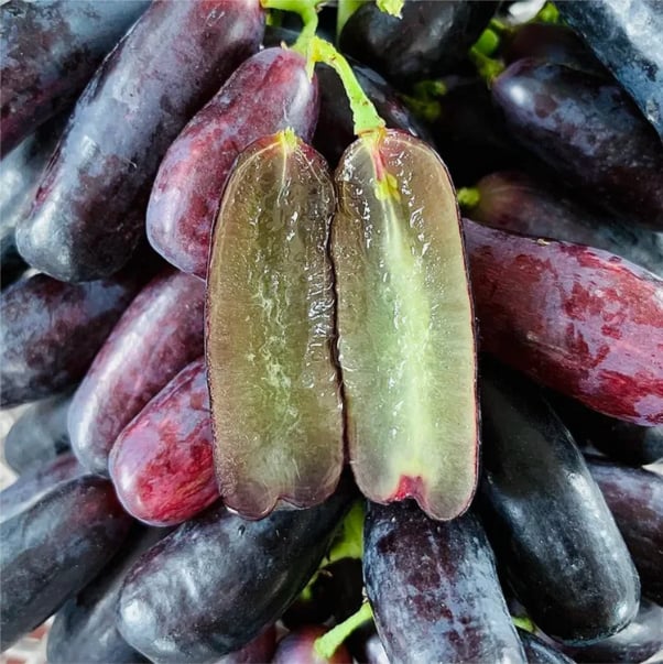 Sapphire Grapes Seeds
