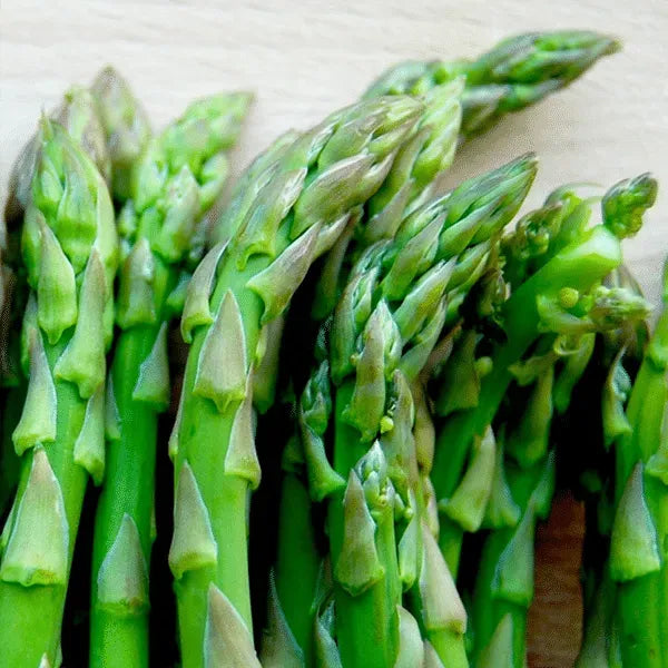 🌿King of Vegetables - Asparagus Mary Washington Seeds