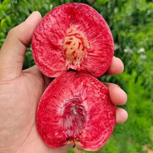 Exotic Peach Seeds