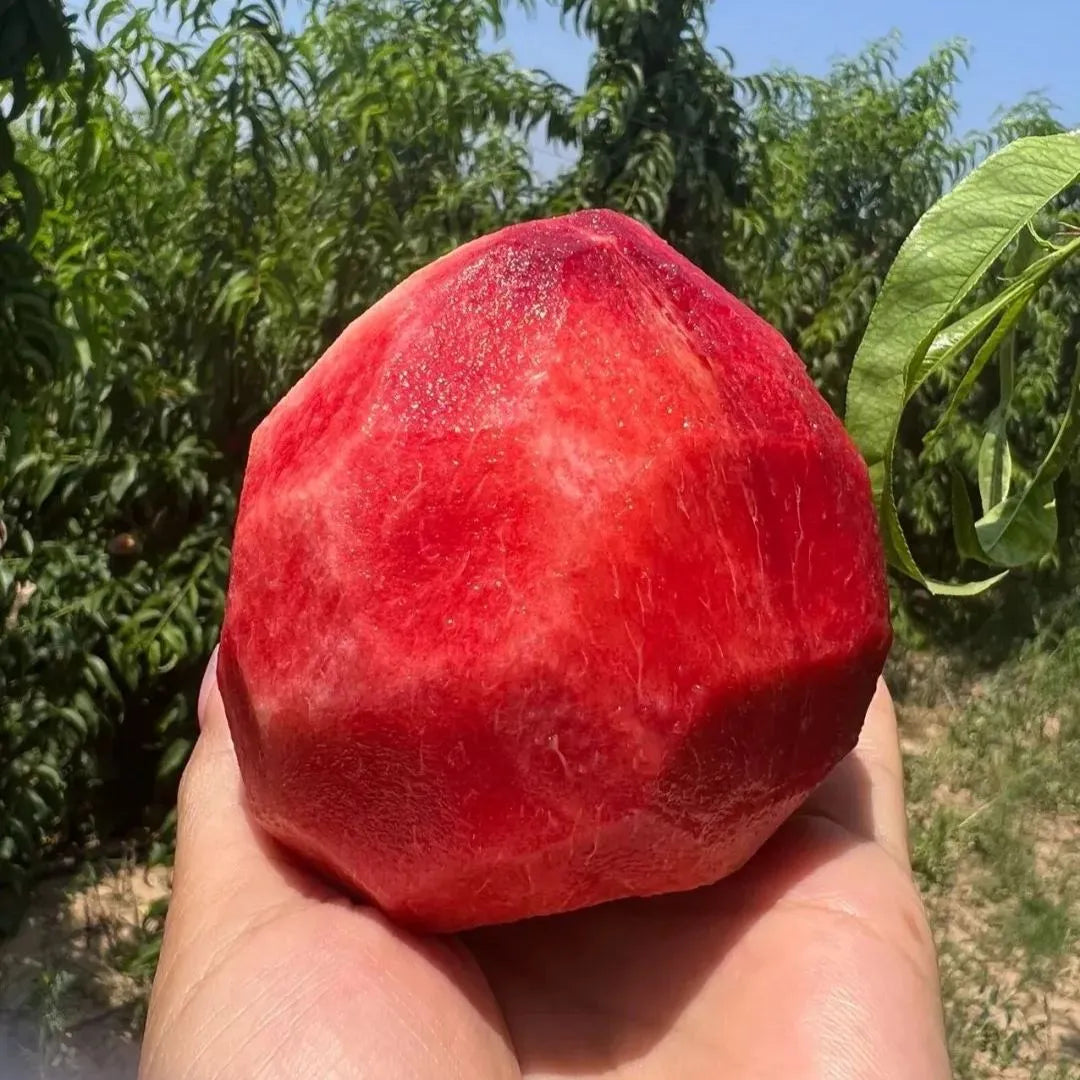 Exotic Peach Seeds