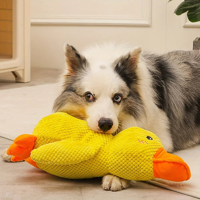 Quacking Duck Toy