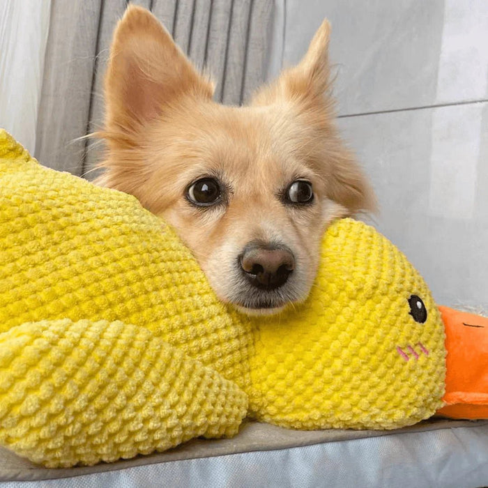 Quacking Duck Toy