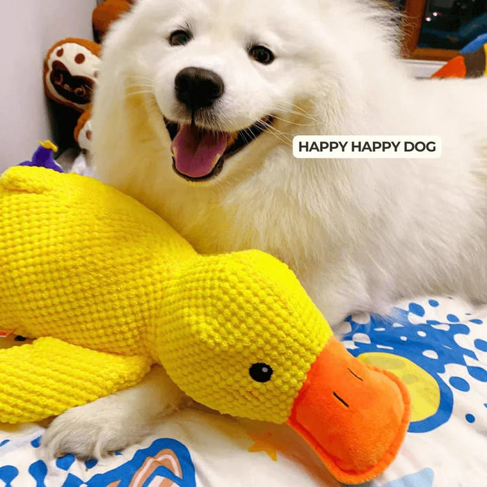 Quacking Duck Toy